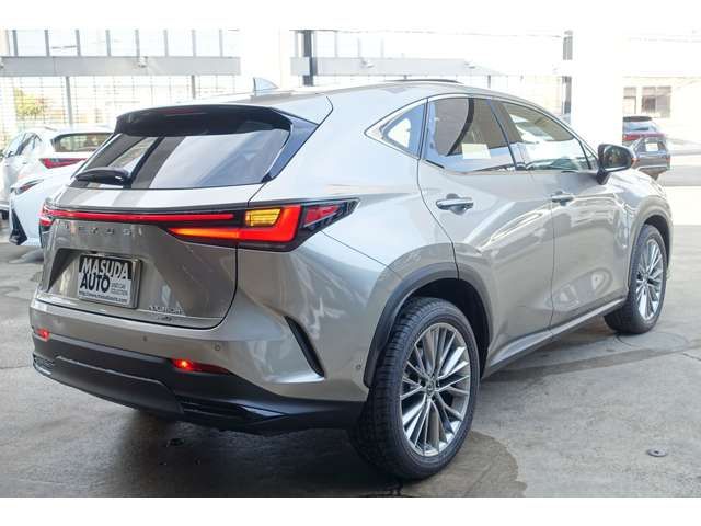 TOYOTA LEXUS NX350H AWD 2021 Image 31