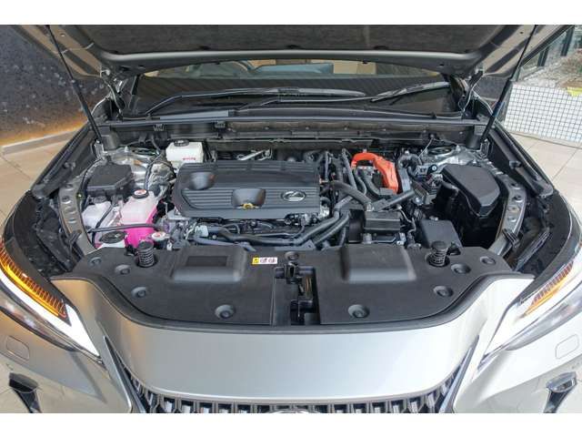 TOYOTA LEXUS NX350H AWD 2021 Image 31