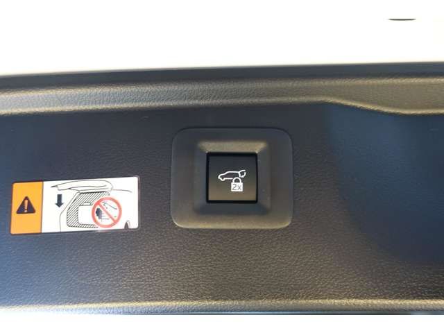 TOYOTA ALPHARD HYBRID 2025 Image 31