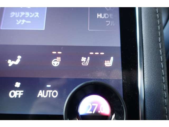 TOYOTA ALPHARD HYBRID 2025 Image 31