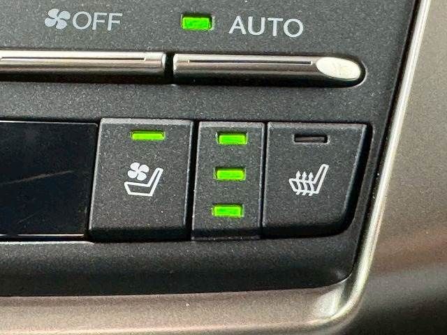 TOYOTA LEXUS NX300H AWD 2018 Image 31