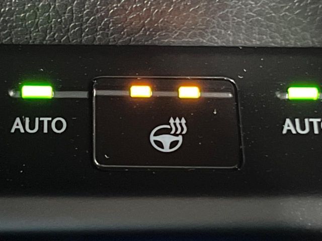 TOYOTA LEXUS UX250H 2020 Image 31