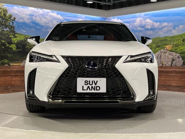 TOYOTA LEXUS UX250H 2020 Image 31