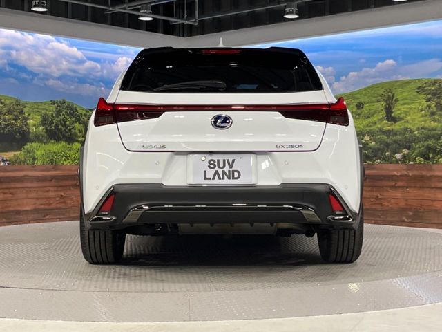 TOYOTA LEXUS UX250H 2020 Image 31