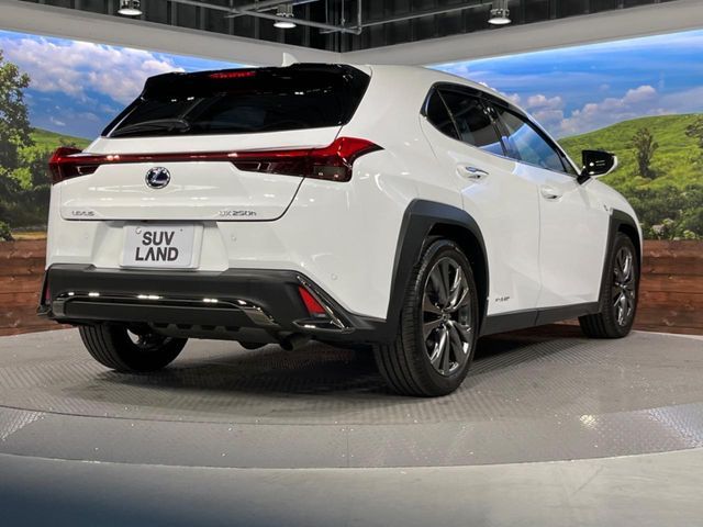 TOYOTA LEXUS UX250H 2020 Image 31