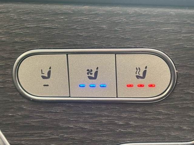 MERCEDES BENZ GLE CL 2020 Image 31