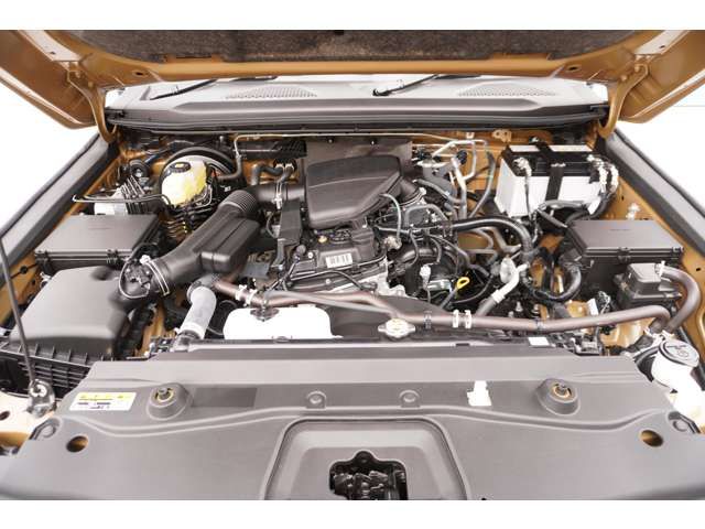 TOYOTA LANDCRUISER 250 2024 Image 31