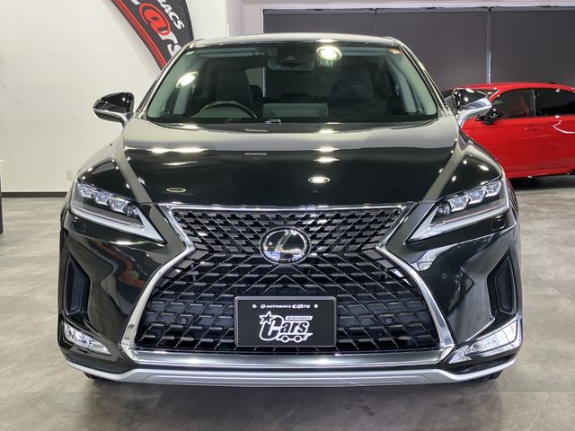 TOYOTA LEXUS RX300 AWD 2020 Image 31