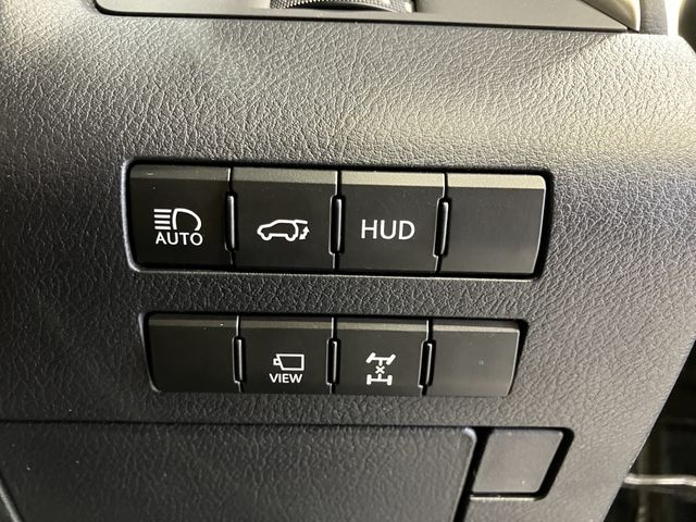 TOYOTA LEXUS RX300 AWD 2020 Image 31