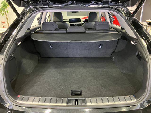 TOYOTA LEXUS RX300 AWD 2020 Image 31