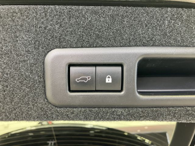 TOYOTA LEXUS RX300 AWD 2020 Image 31