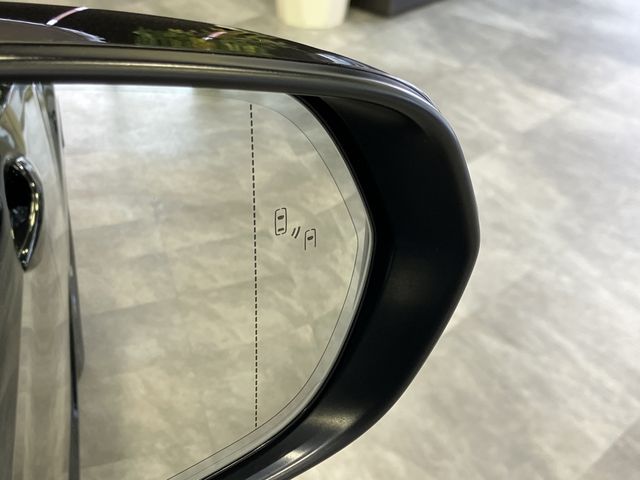 TOYOTA LEXUS RX300 AWD 2020 Image 31