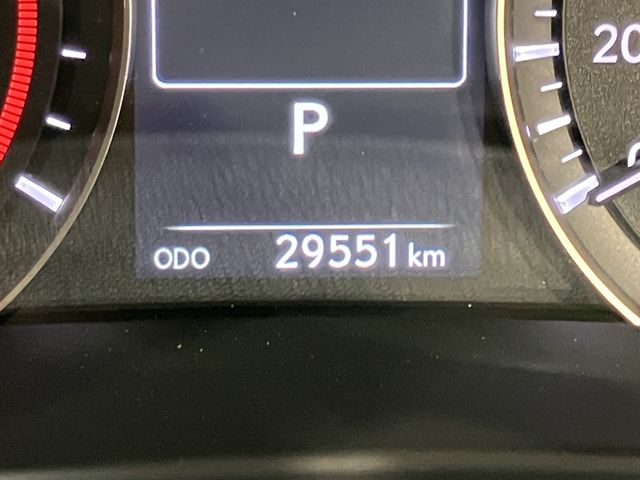 TOYOTA LEXUS RX300 AWD 2020 Image 31