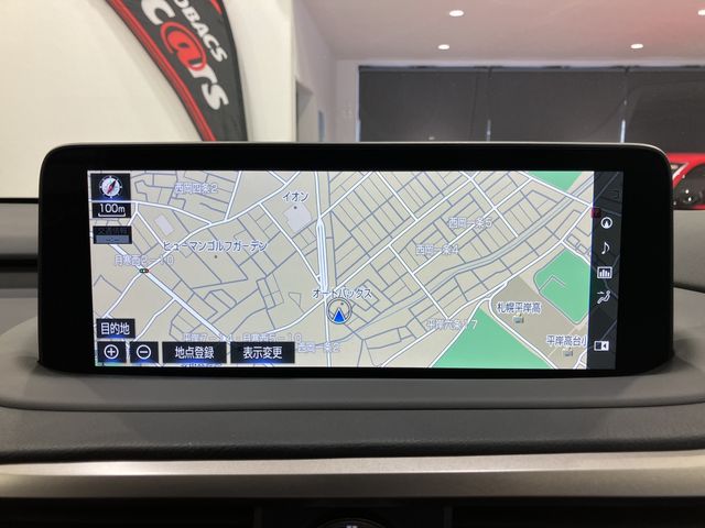 TOYOTA LEXUS RX300 AWD 2020 Image 31