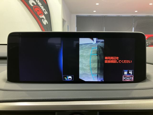 TOYOTA LEXUS RX300 AWD 2020 Image 31