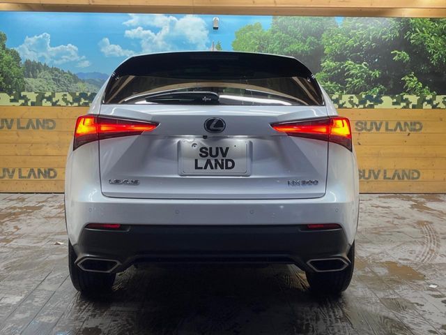 TOYOTA LEXUS NX300 2018 Image 31