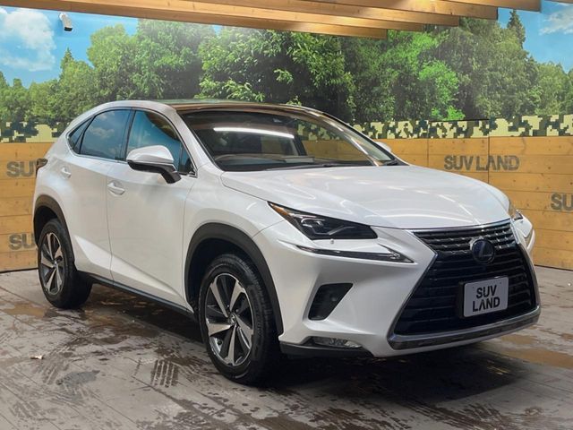 TOYOTA LEXUS NX300 2018 Image 31