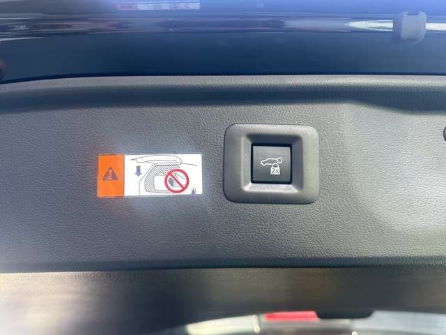 TOYOTA VELLFIRE  HYBRID 2024 Image 31