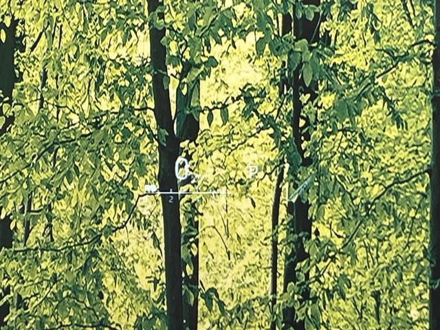 TOYOTA HARRIER 4WD 2023 Image 31