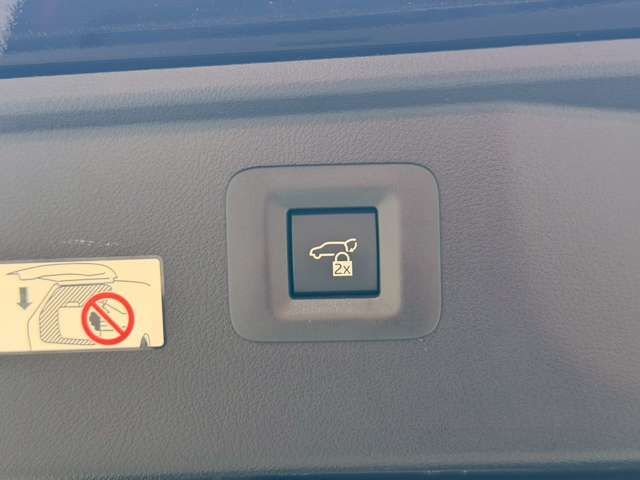 TOYOTA ALPHARD HYBRID 4WD 2023 Image 31