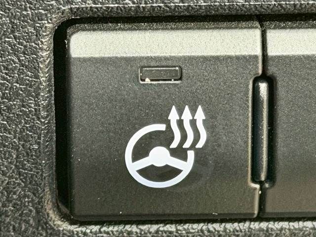 TOYOTA LEXUS NX300 2021 Image 31