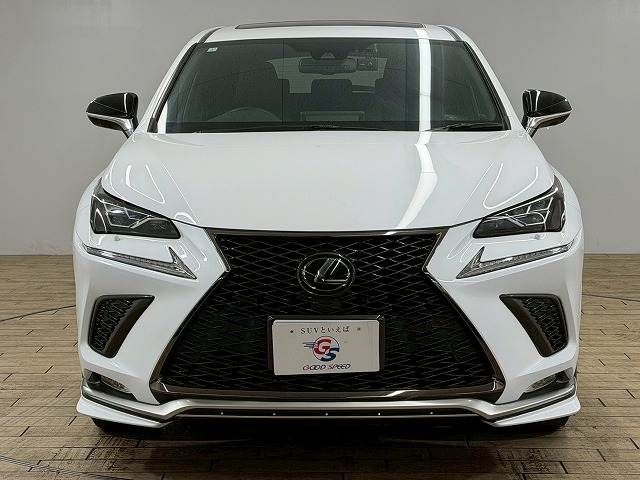 TOYOTA LEXUS NX300 2021 Image 31