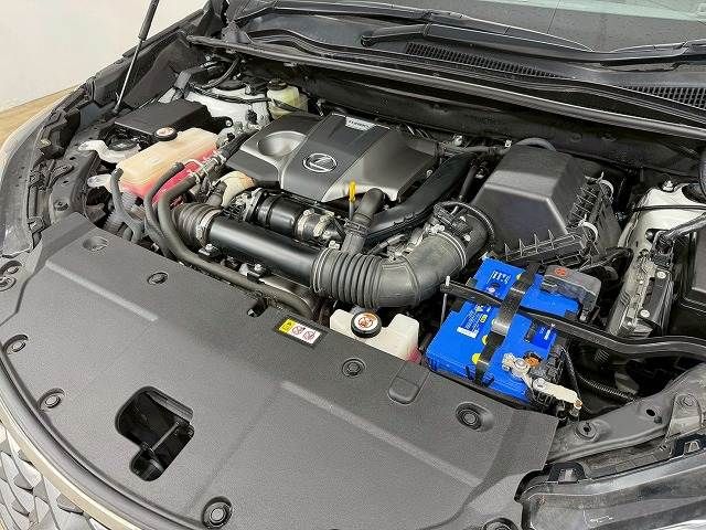 TOYOTA LEXUS NX300 2021 Image 31