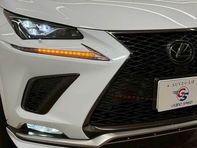TOYOTA LEXUS NX300 2021 Image 31
