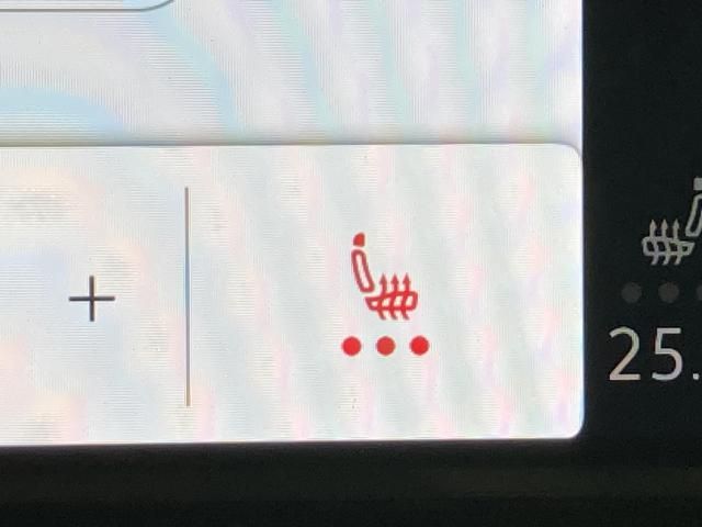 VOLKSWAGEN GOLF 2024 Image 31