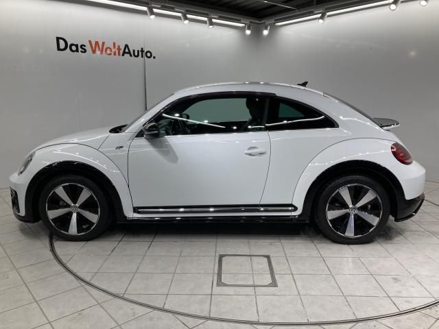VOLKSWAGEN THE BEETL 2019 Image 31