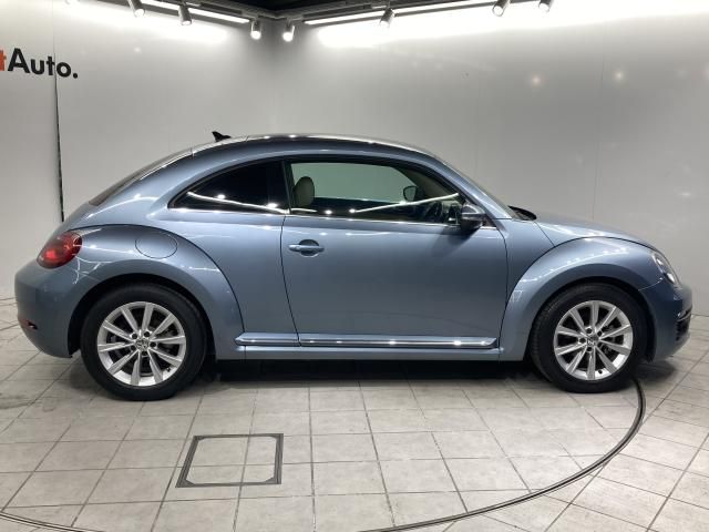 VOLKSWAGEN THE BEETL 2019 Image 31