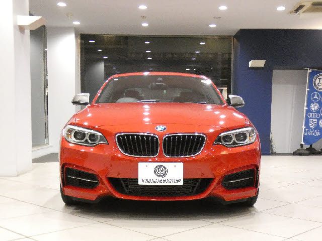 BMW 2SERIES COUPE 2016 Image 31