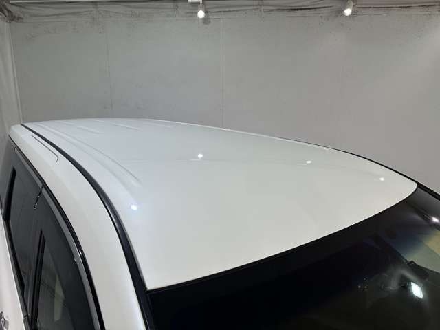 NISSAN ELGRAND 2016 Image 31