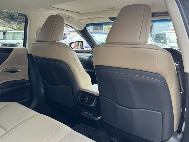 TOYOTA LEXUS ES300H 2021 Image 31