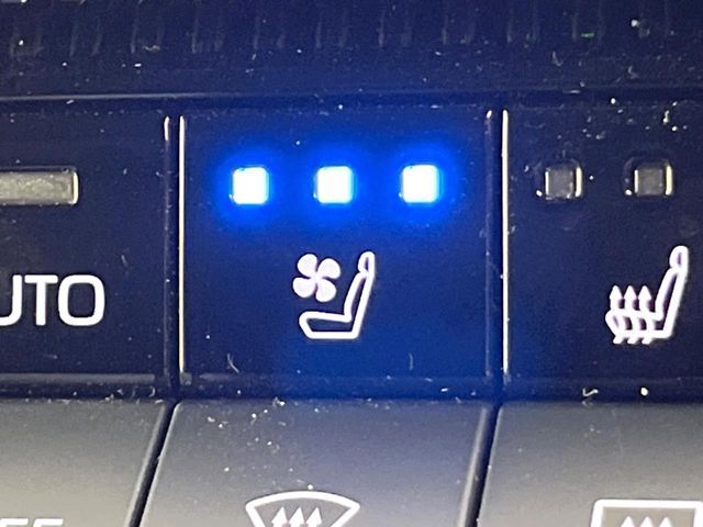 TOYOTA LANDCRUISER 250 2024 Image 31