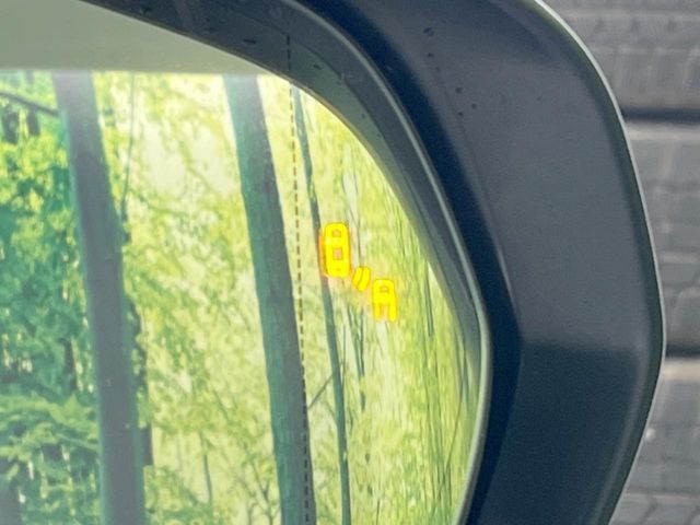 TOYOTA LEXUS NX300 AWD 2018 Image 31