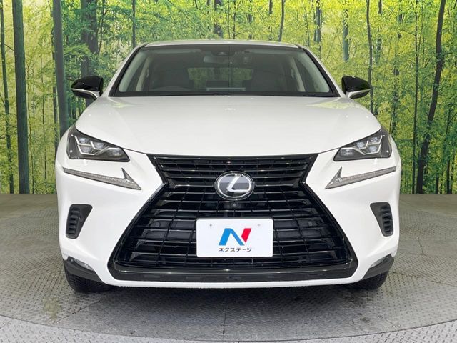 TOYOTA LEXUS NX300 AWD 2018 Image 31