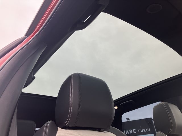 ROVER DISCOVERY SPOR 2024 Image 31