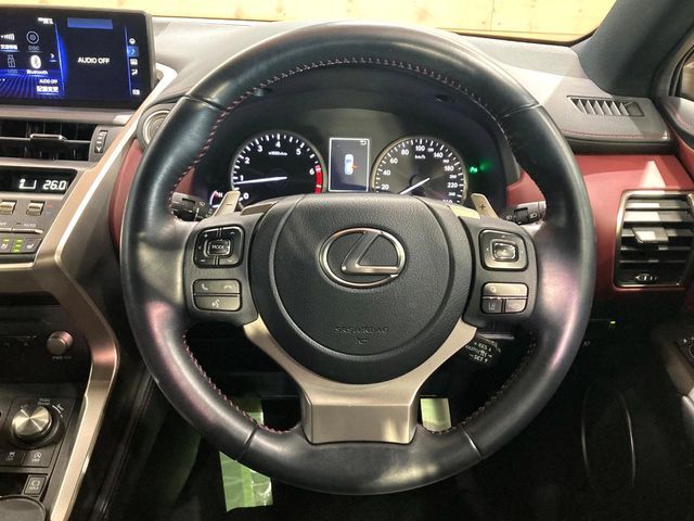 TOYOTA LEXUS NX300 2020 Image 31