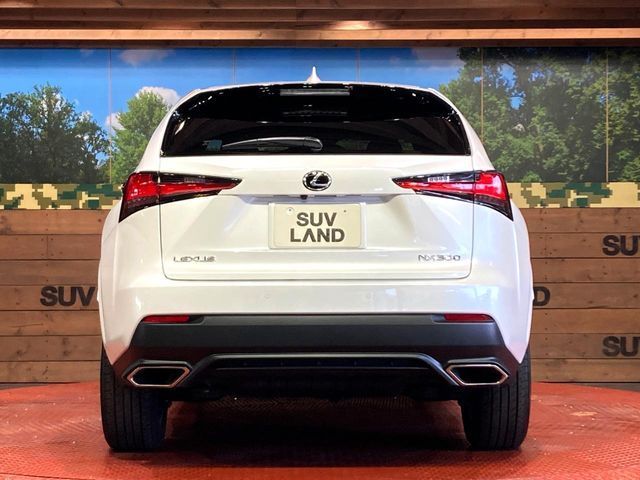 TOYOTA LEXUS NX300 2020 Image 31