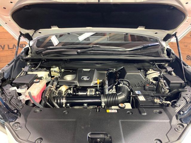 TOYOTA LEXUS NX300 2020 Image 31