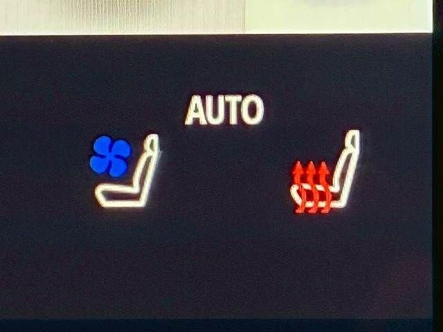 TOYOTA ALPHARD HYBRID 2023 Image 31