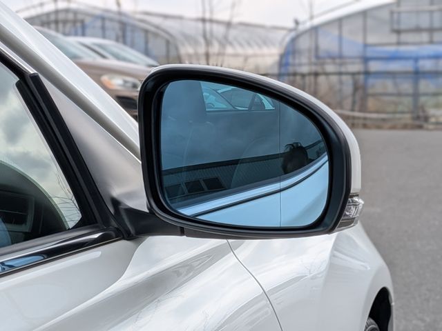 TOYOTA MARK X 2018 Image 31