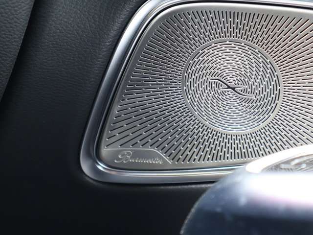 MERCEDES BENZ E CLAS 2024 Image 31