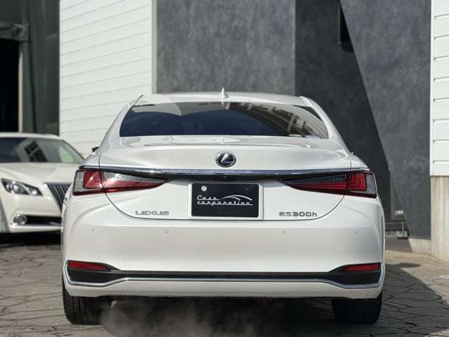 TOYOTA LEXUS ES300H 2019 Image 31