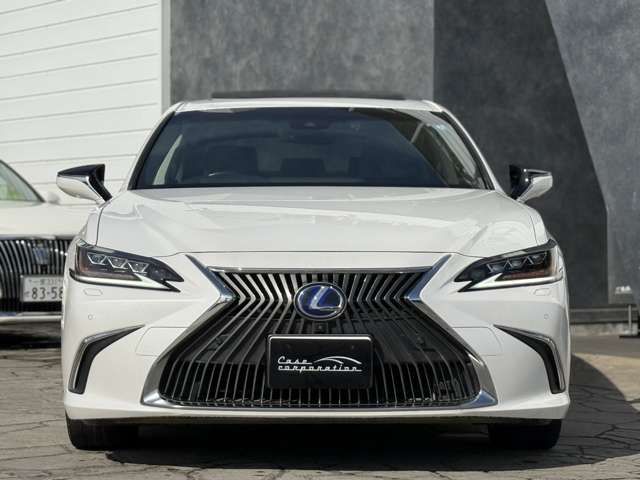 TOYOTA LEXUS ES300H 2019 Image 31