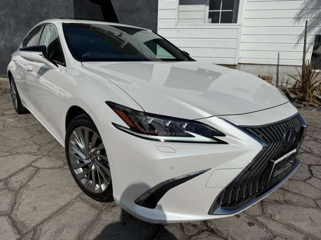 TOYOTA LEXUS ES300H 2019 Image 31