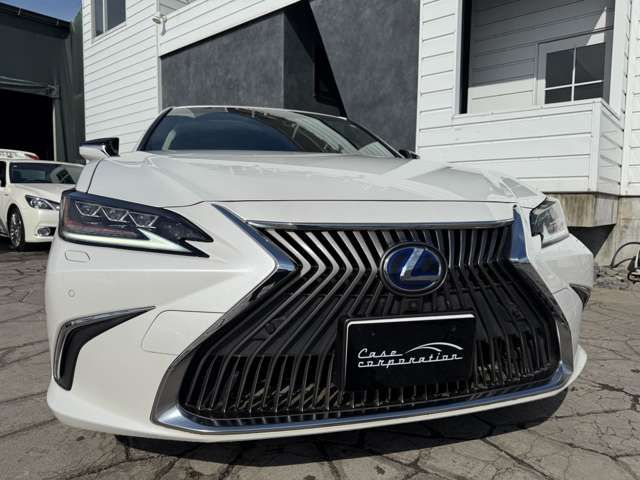 TOYOTA LEXUS ES300H 2019 Image 31