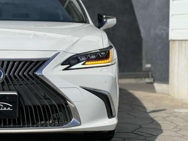 TOYOTA LEXUS ES300H 2019 Image 31