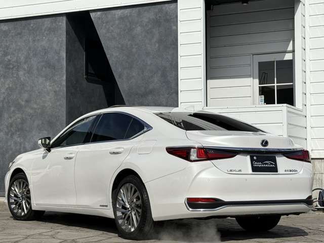 TOYOTA LEXUS ES300H 2019 Image 31